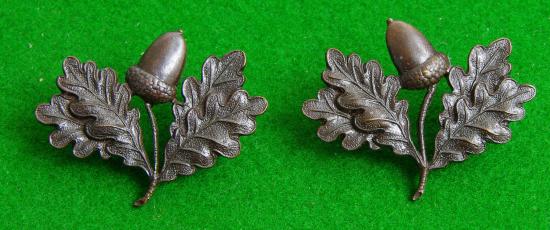 South Nottinghamshire Hussars.