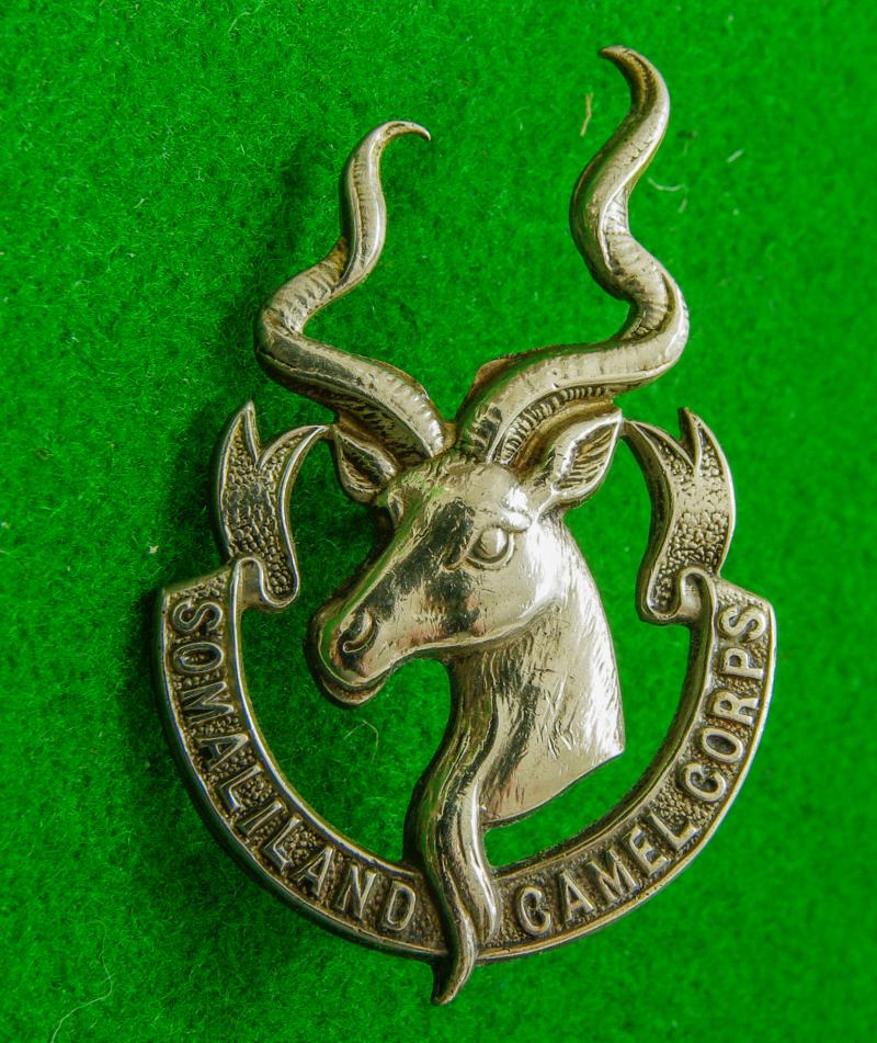 Somaliland Camel Corps.