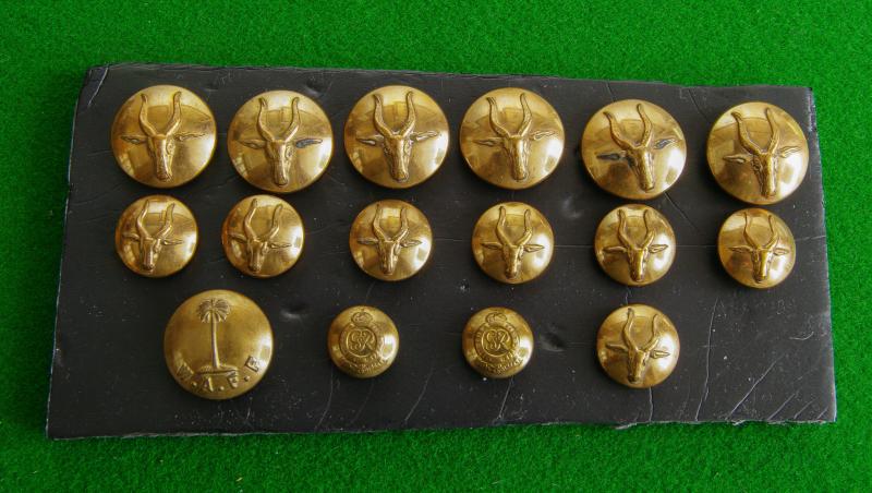 Gold Coast Defence Force- Etc.
