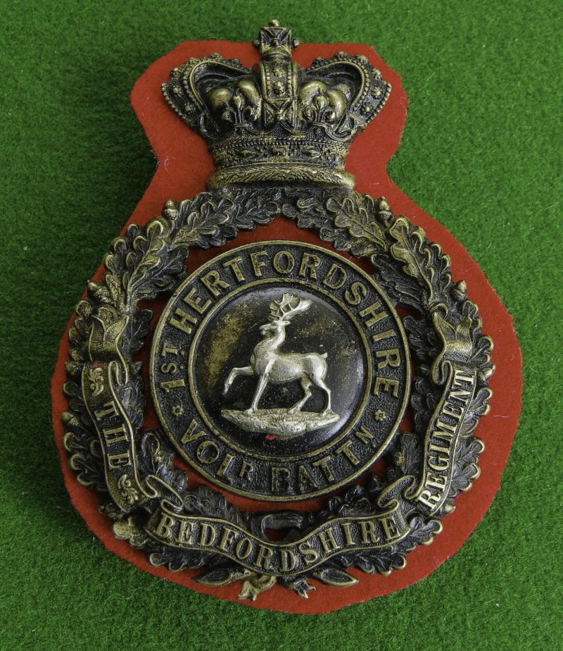 Bedfordshire Regiment  { Hertfordshire Volunteers.}
