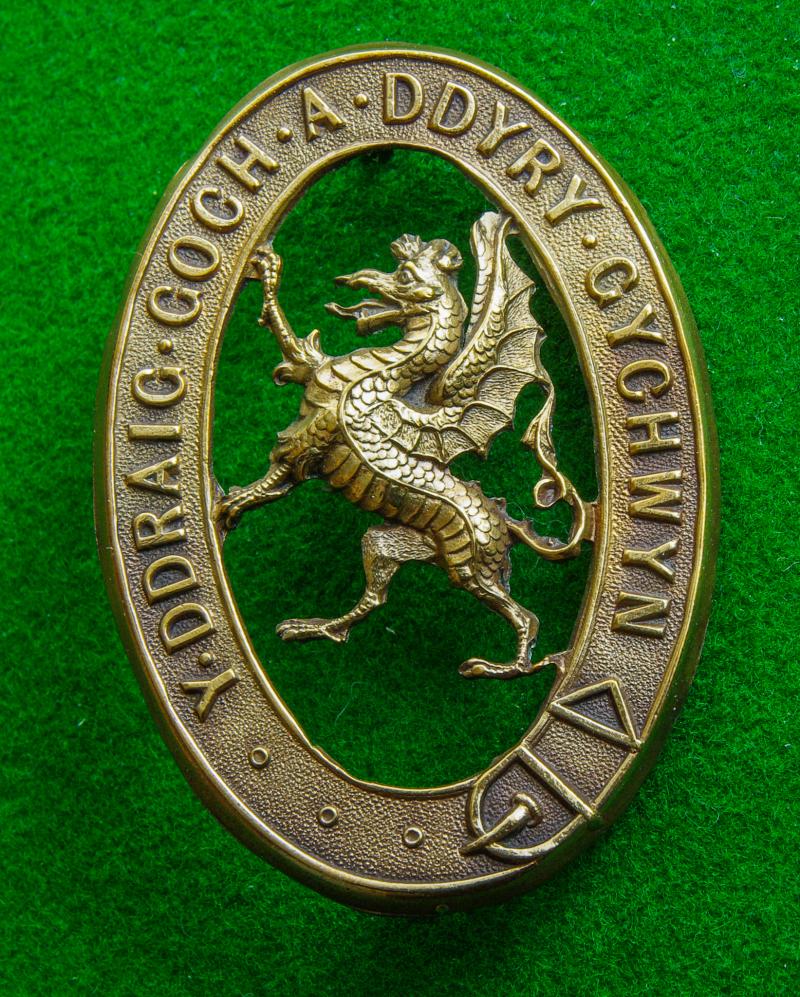 Royal Denbigh Rifles.{Militia}
