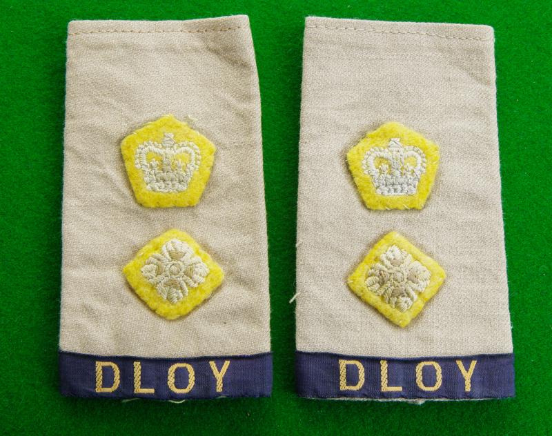 Duke of Lancaster's Own Yeomanry.