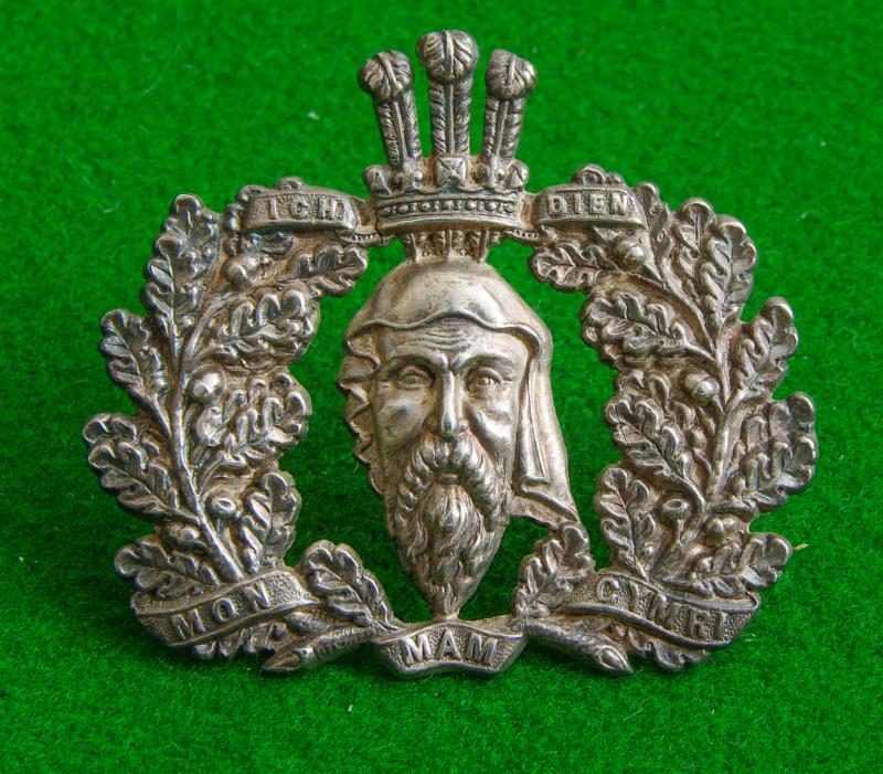 Royal Anglesey Engineers Militia.