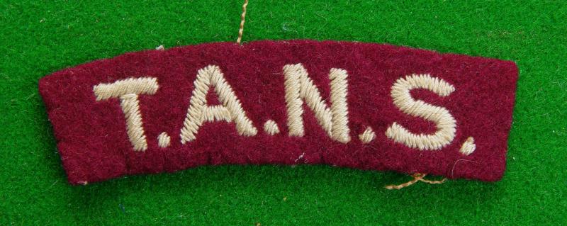 Territorial Auxiliary Nursing Service.