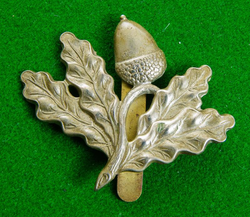 South Nottinghamshire Hussars.