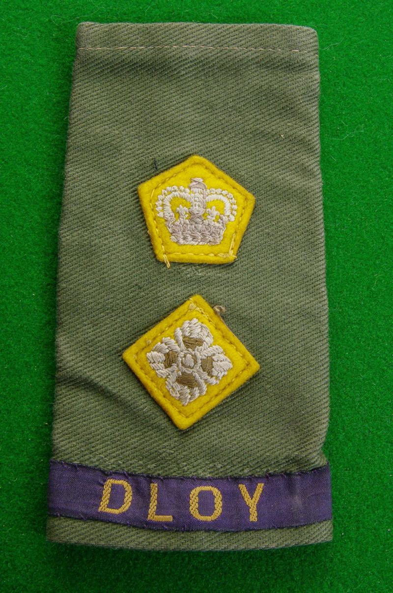 Duke of Lancaster's Own Yeomanry.