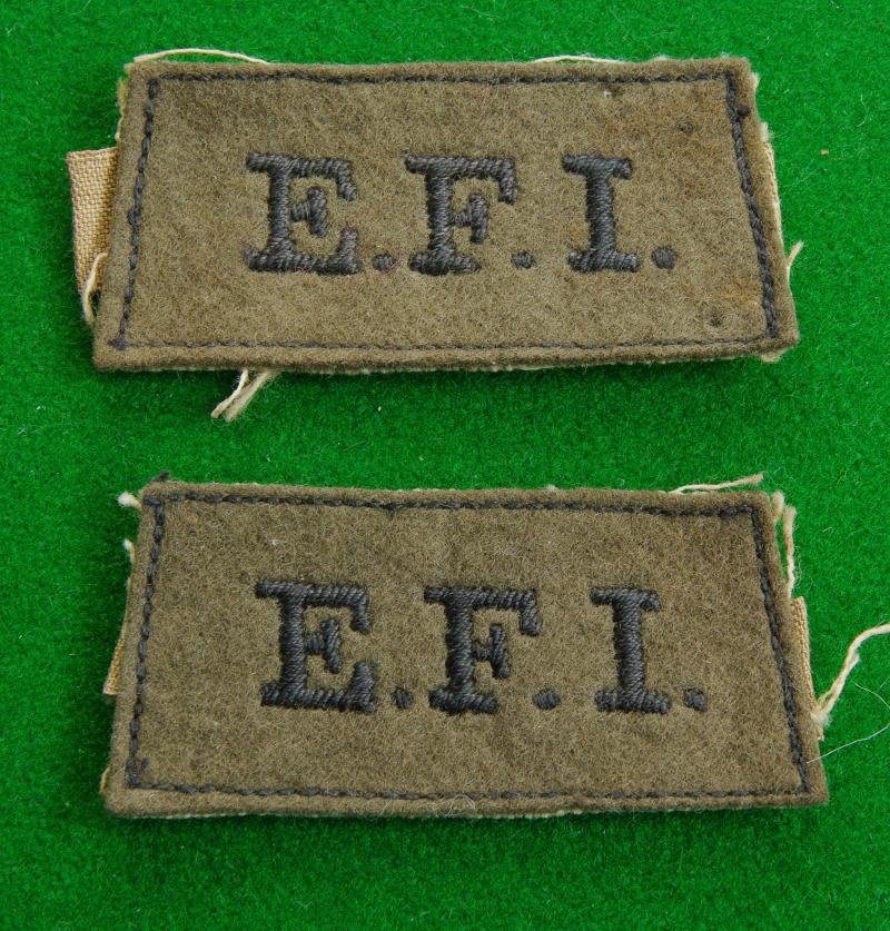 Expeditionary Forces Institute..