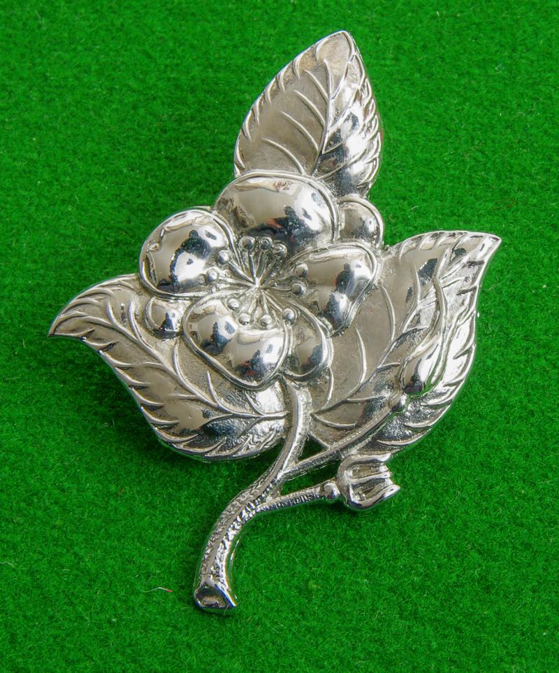 Queen's Own Worcestershire Hussars.